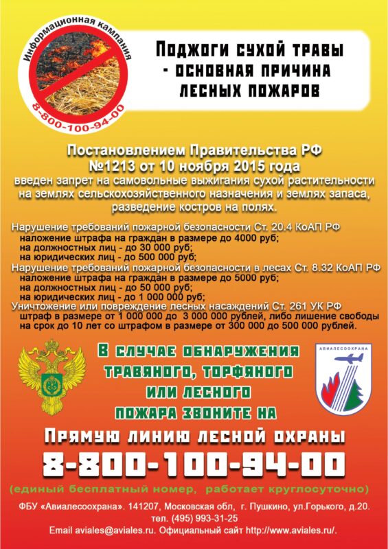 Поджоги сухой травы-основная причина лесных пожаров