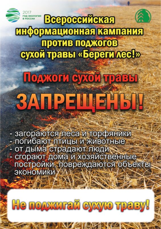 Всероссийская информационная кампания против поджогов сухой травы "Береги лес!"